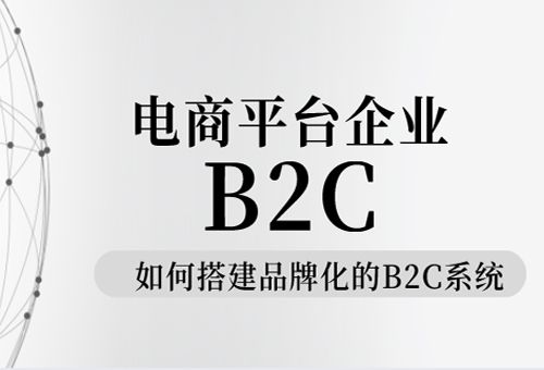 b2c系统搭建平台,b2c系统开发-数商云电商系统